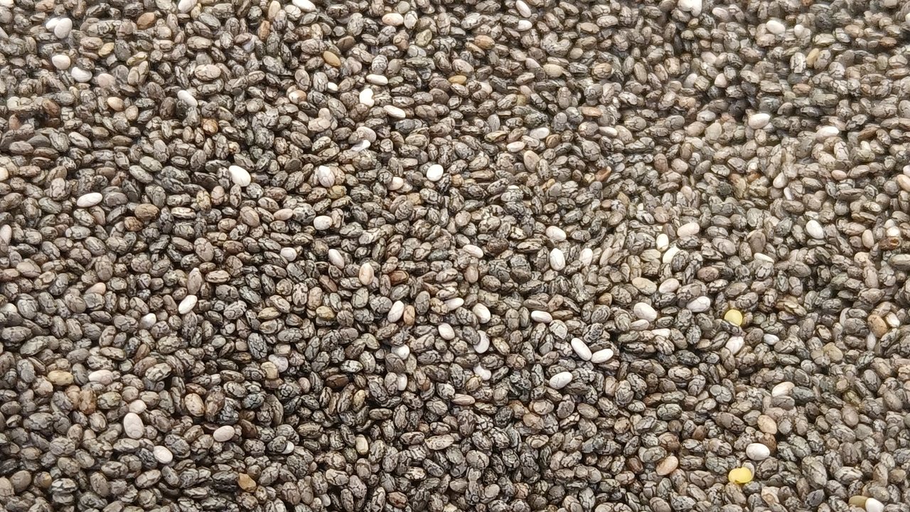 Sementes de chia soltas espalhadas, vistas de perto