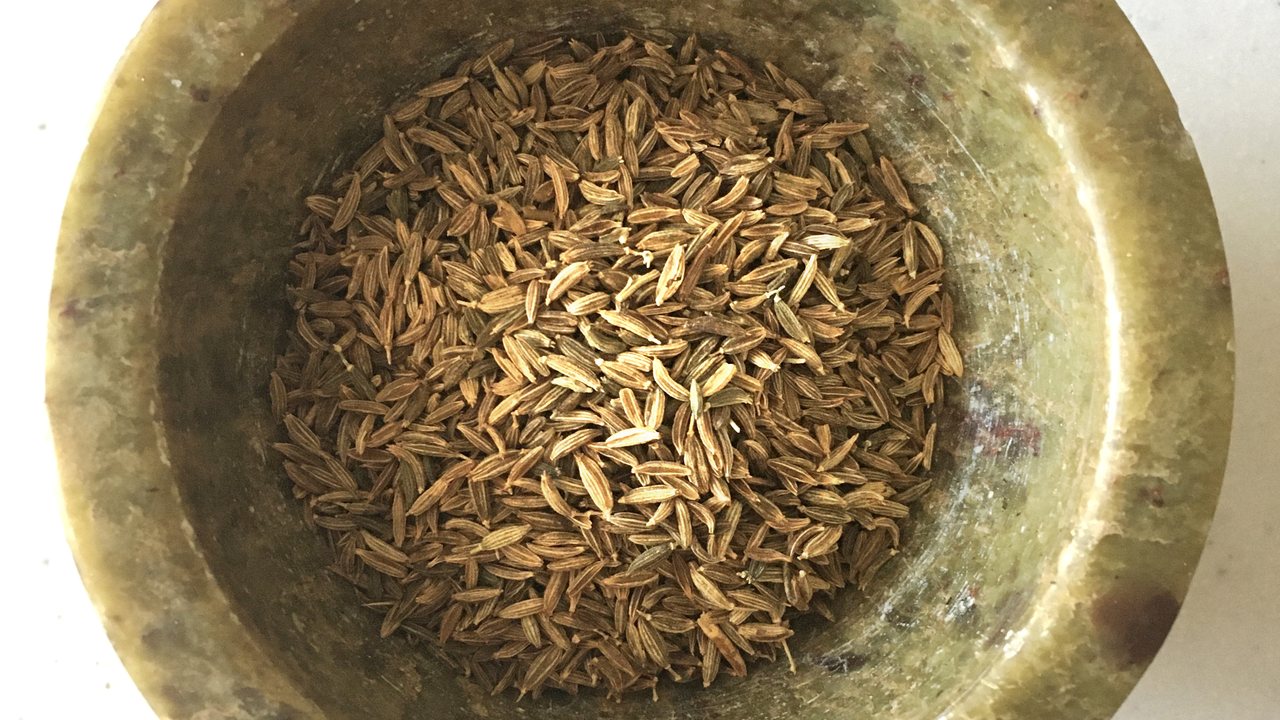 Cominho e Coentro: Grão vs Pó em Blends de Temperos para Indústria Alimentícia