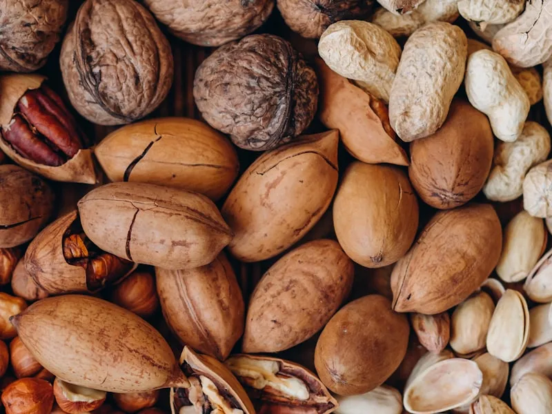 Indústrias Alimentícias — Rocha Brasil