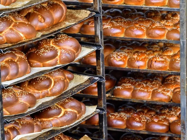 Bandejas de pães trançados artesanais saindo do forno